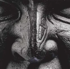 Onnit Quad Mace -Quality Fitness Equipment Store 07811dc6c422334ce36a09ff5cd6fe71 5d0a754ec2a17