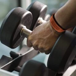 Deselen Lifting Straps -Quality Fitness Equipment Store 55a988dfb00a914717b3000a3374694c 5d0a757aabdfe