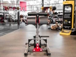 Sorinex Glute Ham Developer -Quality Fitness Equipment Store 66e8ba8216a1e152d72653d99a4f03ab 5d0a756aeec35 600x450 1