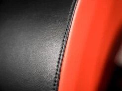 Sorinex Glute Ham Developer -Quality Fitness Equipment Store 66e8ba8216a1e152d72653d99a4f03ab 5d0a756b00384 600x450 1