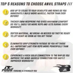 Anvil Fitness Lifting Straps -Quality Fitness Equipment Store 6be93f7a96fed60c477d30ae1de032fd 5d0a757917f76 600x600 1
