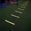 Get RXd Agility Ladder -Quality Fitness Equipment Store 7a68443f5c80d181c42967cd71612af1 5d0a7575c1efa 600x525 1
