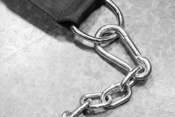 REP Dip Belt 4 REP Dip Belt - Image 2