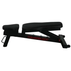 Powerblock Power Bench 10 Powerblock Power Bench -Quality Fitness Equipment Store a486cd07e4ac3d270571622f4f316ec5 5d0a75554274a 600x600 1