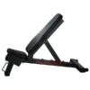 Powerblock Power Bench -Quality Fitness Equipment Store a486cd07e4ac3d270571622f4f316ec5 5d0a75554888d 600x600 1
