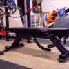 Rogue AB-3 Adjustable Bench -Quality Fitness Equipment Store b3e3e393c77e35a4a3f3cbd1e429b5dc 5e2b49f1d65a3 600x338 1