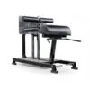 EliteFTS Pro Glute Ham Raise -Quality Fitness Equipment Store c2ba1bc54b239208cb37b901c0d3b363 5d0a75765cd55 600x600 1