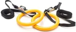 Nayoya Gymnastic Rings -Quality Fitness Equipment Store d38901788c533e8286cb6400b40b386d 5d0a751951e8f 600x252 1