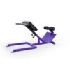 EliteFTS Scholastic 45 Degree Back Raise -Quality Fitness Equipment Store d6288499d0083cc34e60a077b7c4b3e1 5d0a7576cb935 600x600 1