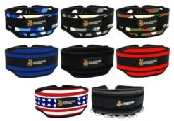 DMoose Premium Dip Belt -Quality Fitness Equipment Store e3251075554389fe91d17a794861d47b 5d0a751b4cd9c 600x420 1