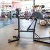 Sorinex Mach-II Glute Ham GHD -Quality Fitness Equipment Store eb76c035d5d0a2bd2a0d0834b93c9c26 5d0a756b4fe5d 600x450 1