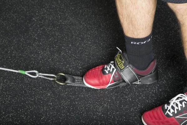 Spud Inc Econo Tricep And Lat Pulley 5 Spud Inc Econo Tricep And Lat Pulley - Image 3